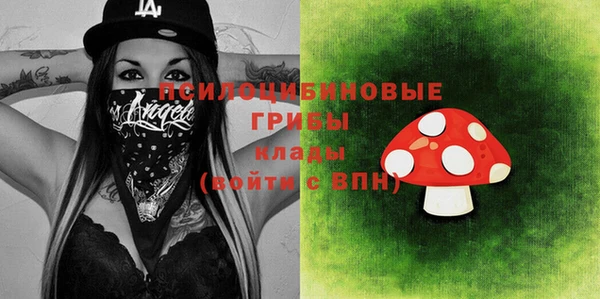 а пвп мука Абаза