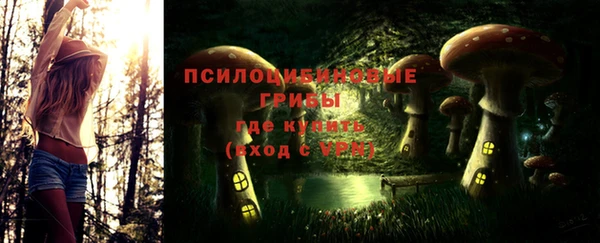 MDMA Алексеевка