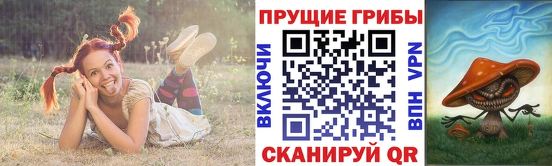 Псилоцибиновые грибы мицелий  Новоуральск 